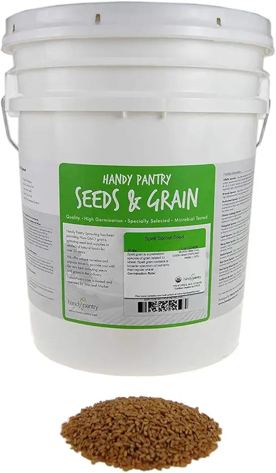 Organic Spelt: 35 Lbs - Non-GMO Grain Seeds - Flour, Bread, Baking, Cooking, Food Storage, Sprouting, Spelt Grass