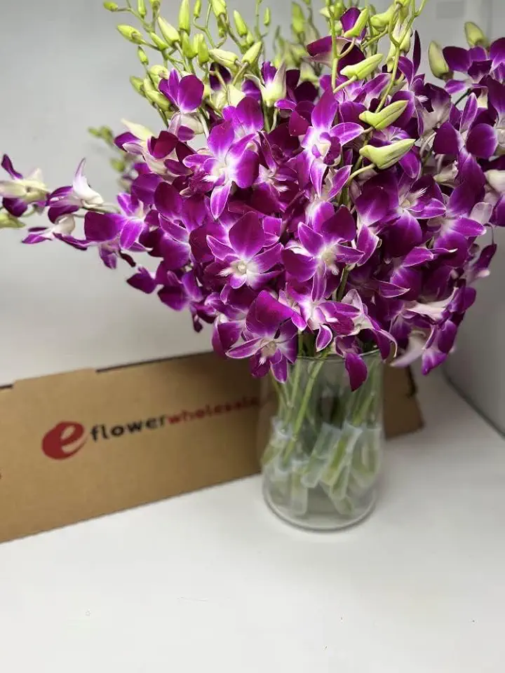 Fresh Cut Purple Orchid with custom printed ribbon (30 Stems with Vase)