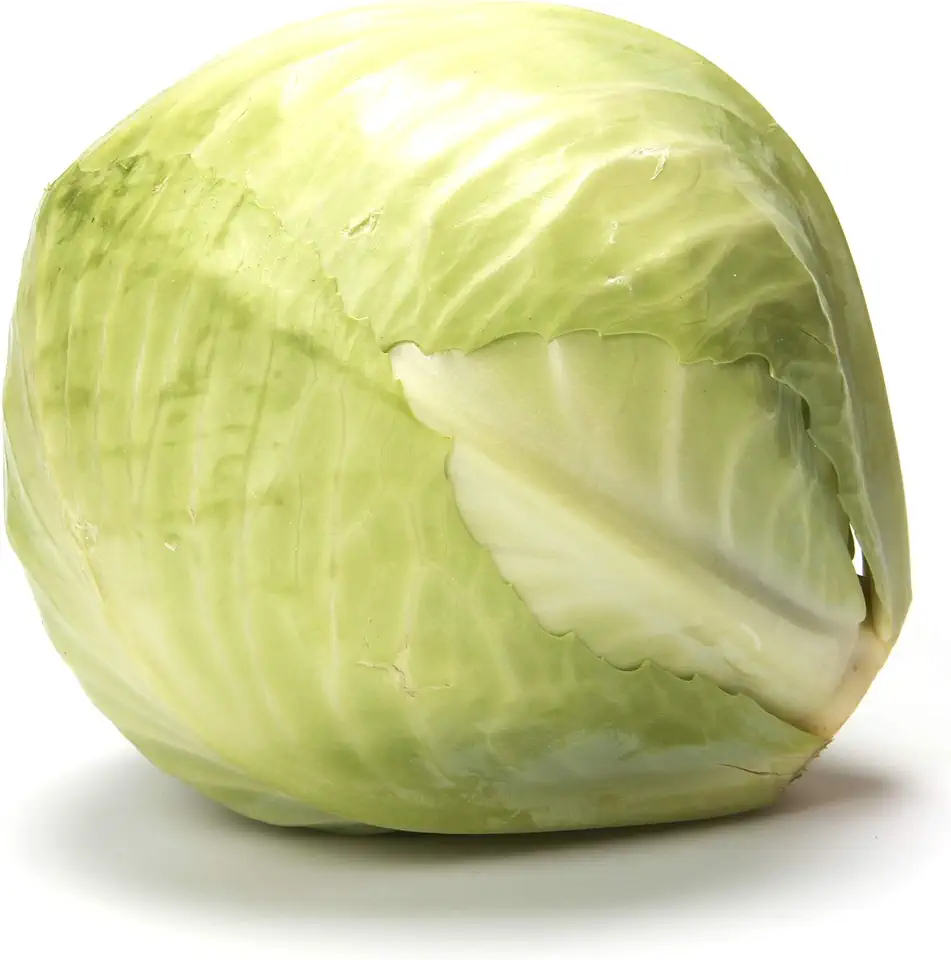 Organic Green Cabbage