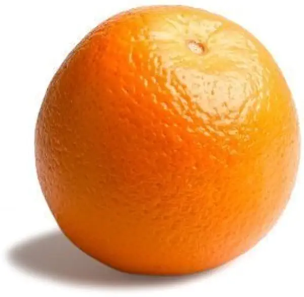 Orange Navel Organic