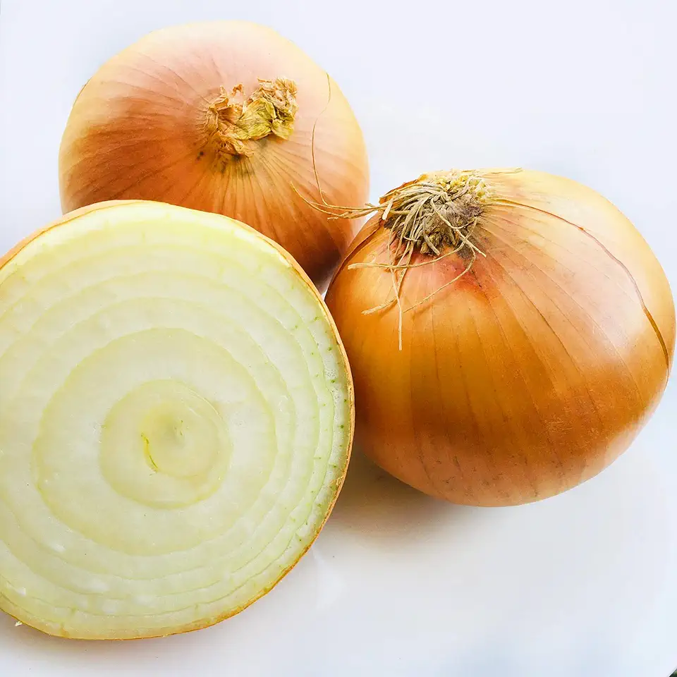 Kejora Yellow Onion - 8 Lbs (Non-GMO &amp; GLUTEN FREE) ~ Jumbo Size