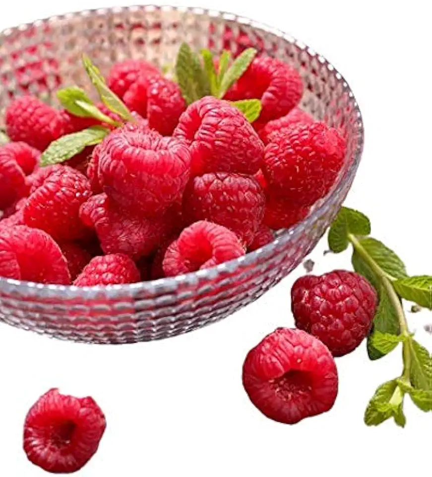 Fresh Frozen Organic Heirloom Raspberries by Northwest Wild Foods - Healthy Antioxidant Fruit Diet - for Smoothies, Pies, Jams, Syrups (9 Pounds)