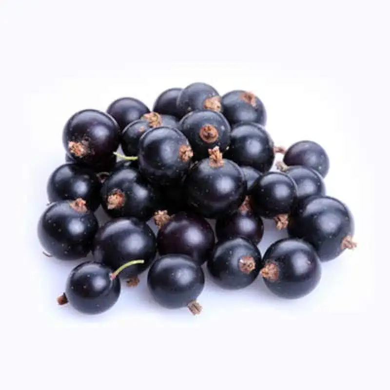 Fresh Frozen Organic Black Currants by Northwest Wild Foods - Healthy Antioxidant Fruit Diet - for Smoothies, Pies, Jams, Syrups (9 Pounds)