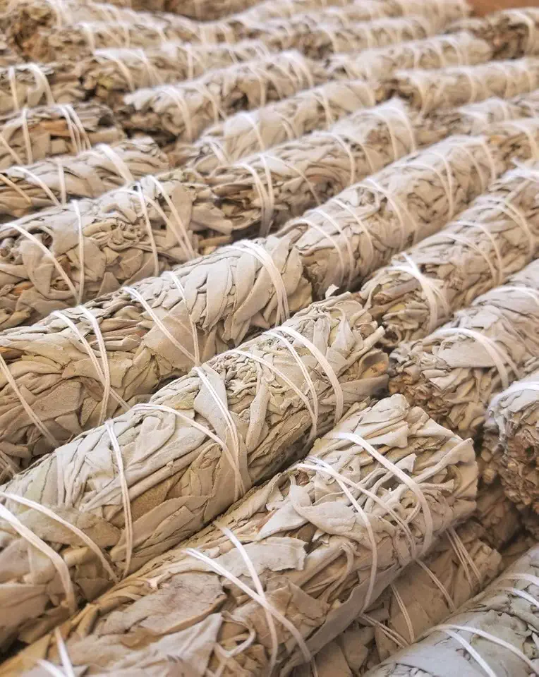 Bulk Sage Bundles Wholesale 100 Pack, Fresh Organic Smudge Sticks, White Sage Sticks for Home Cleansing, Smudging Sage Bulk, Wholesale Sage with Instructions, Charitable! (White Sage - 100 Sticks)