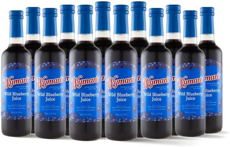 Wyman&#x27;s Wild Blueberry Juice, 100% Juice, No Sugar Added, Not From Concentrate, Glass Bottled, 500mL (12 Pack)