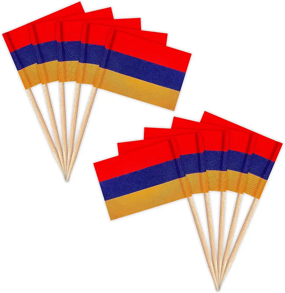 ZXvZYT Armenia Flag Armenian Toothpick Flags,Small Mini Armenia Cupcake Toppers Stick flags - Country Party Cocktail Fruit Decoration(100 Pcs)