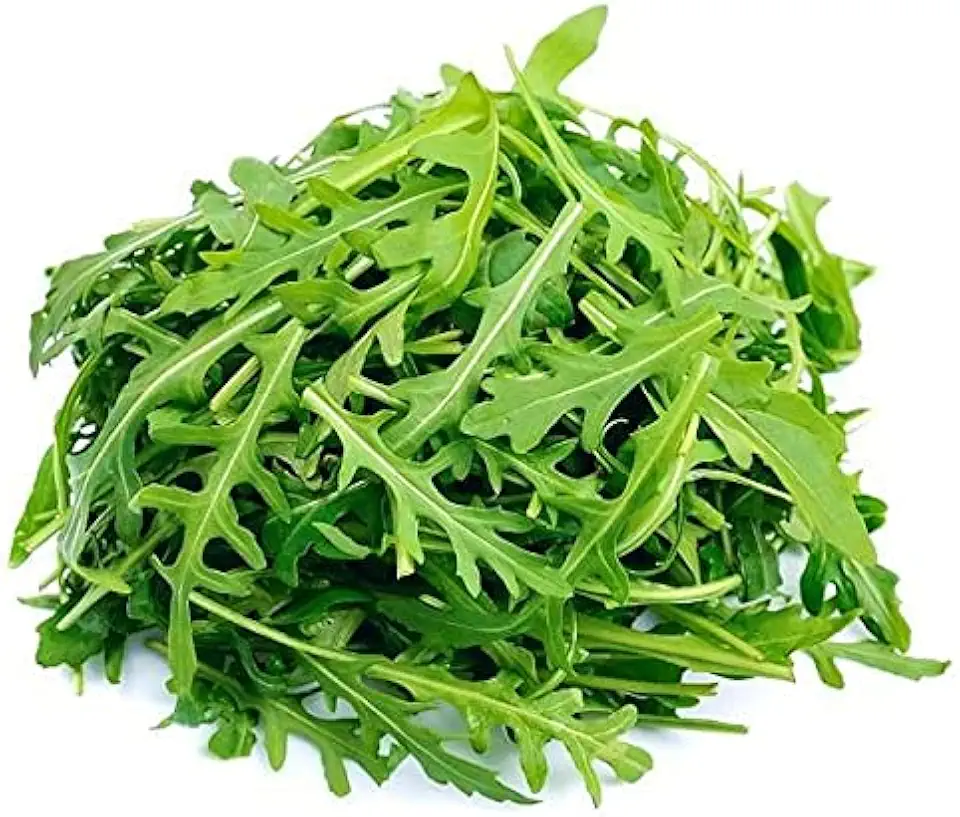 Roquette Lettuce Arugula Seeds - 100 Count Seed Pack - an Incredibly Fast-Growing Cool Season Crop That adds a Fresh Spicy Kick to Salads and Sandwiches. - Country Creek LLC