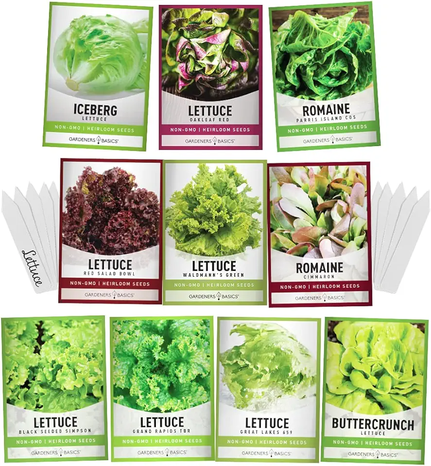 Gardeners Basics, Salad Greens Lettuce Seeds Heirloom Vegetable Seed 23,000 Seeds for Planting Indoors and Outdoor 10 Packs - Buttercrunch, Romaine, Iceberg, (and More) Leaf and Head Variety Pack