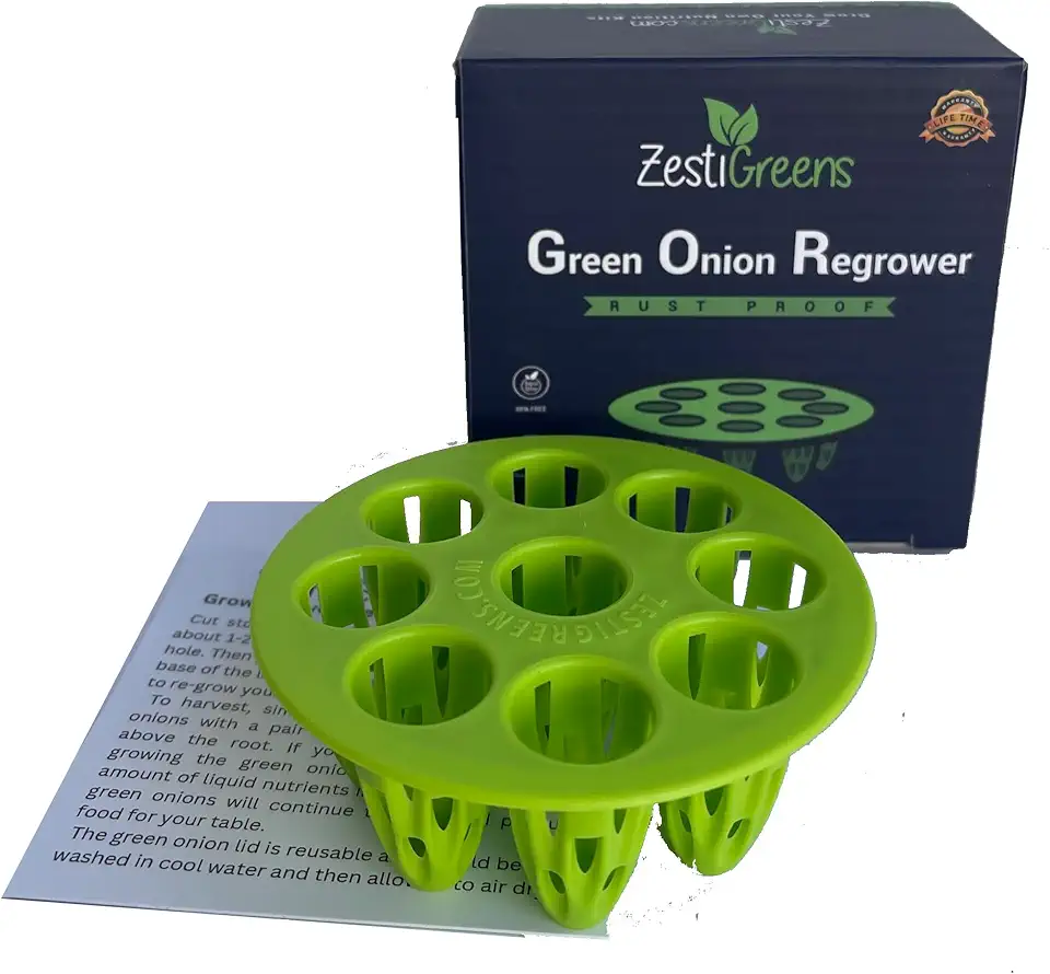 Easiest Green Onion Regrower. Includes Ergonically Designed Lid &amp; Instructions for Beginners. Save Money with This Cool Kitchen Regrower