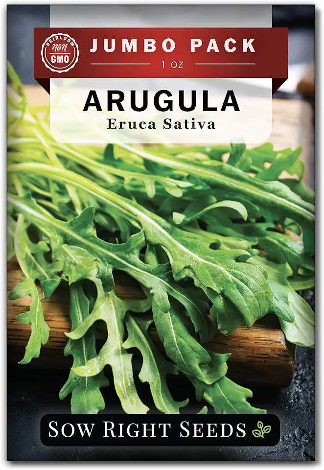 Sow Right Seeds - Bulk Arugula Seeds for Planting - 1 Ounce, 14000 Seeds - Non-GMO Heirloom Jumbo Pack with Instructions to Plant a Home Vegetable Garden - Grow Loads of Hydroponic Rocket Salad Greens