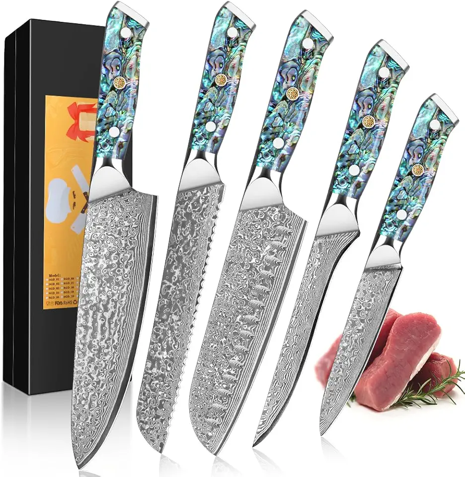 KEENZO Damascus chef knife set 5 pcs, Professional kitchen knives set, kitchen knife set,Japanese hand forged VG-10 steel cooking knife set, Ergonomic abalone shell G-10 handle with gift box