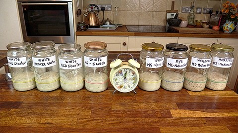 Mastering Sourdough Starters & Leavens