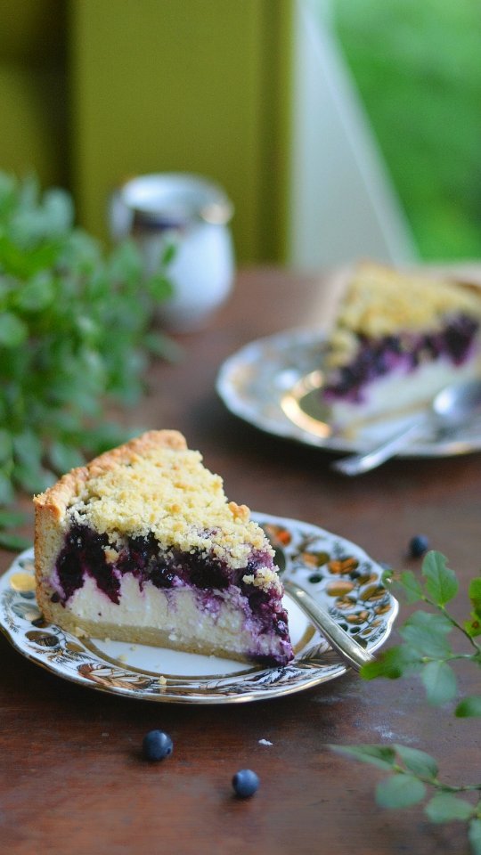 Blueberry & Cottage Cheese Pie