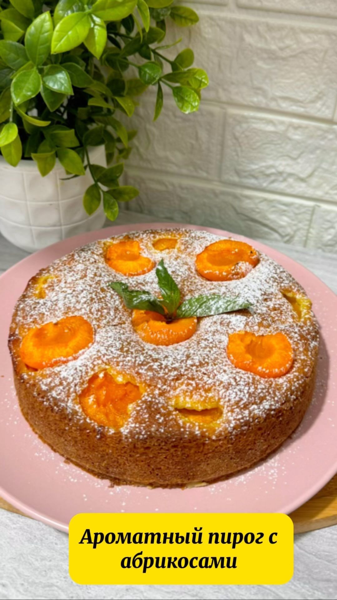 Delicious Apricot Cake Recipe