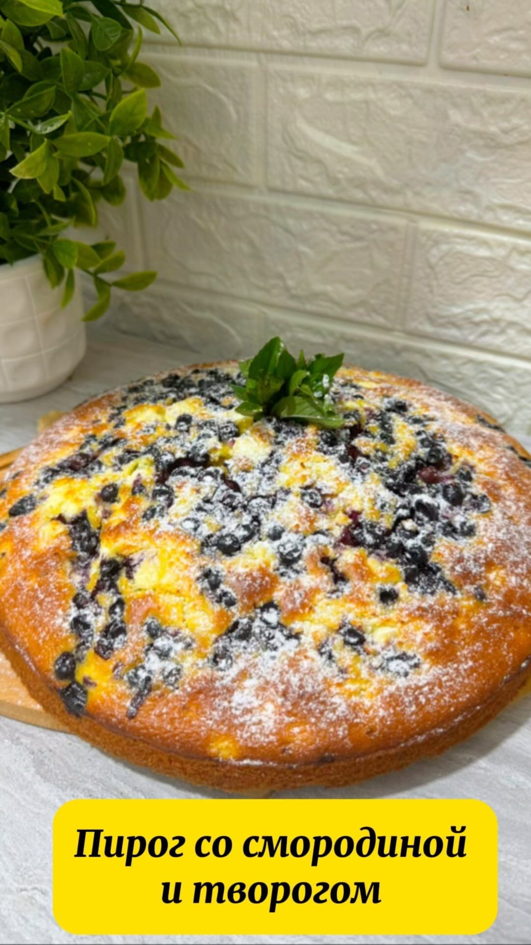 Delicious Currant and Cottage Cheese Pie