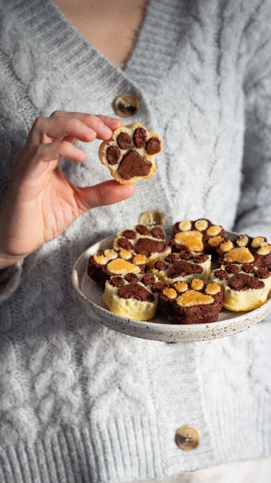 Perfectly Incredibly Cute Chocolate and Vanilla Sponge Paws