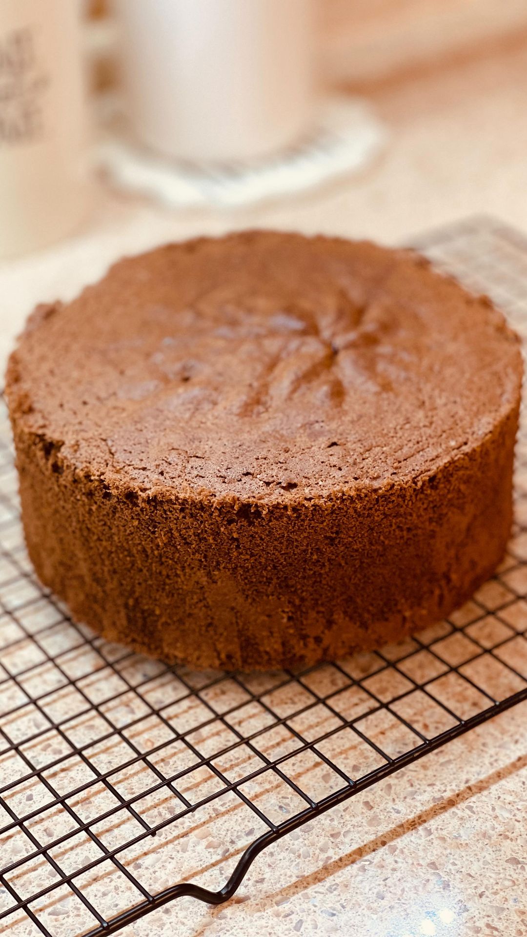 Biscocho de Chocolate Perfecto: Descubre los Secretos de un Biscocho Alto