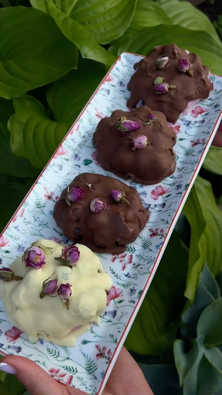 Delicious Blueberry Yogurt Chocolate Bites