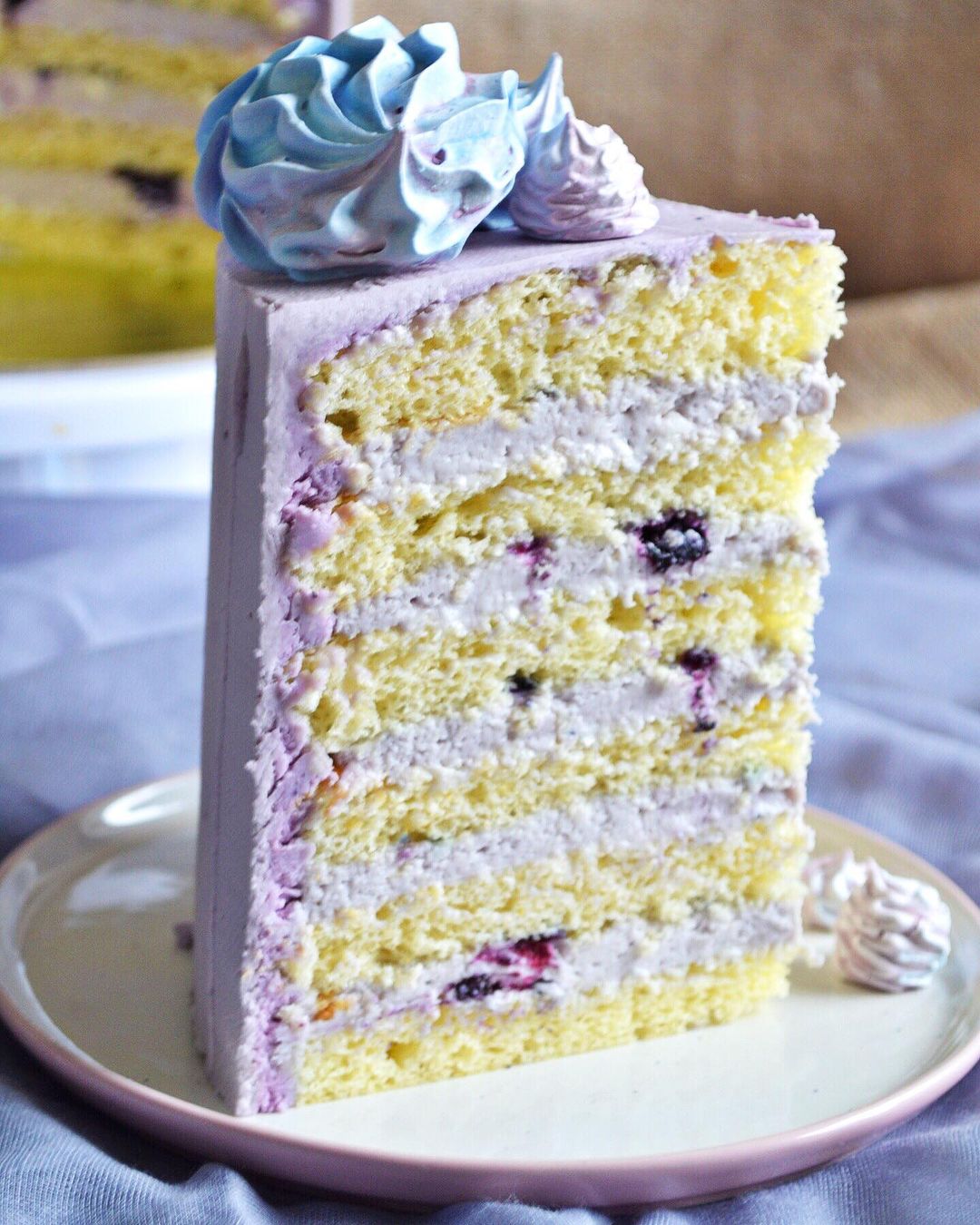 Blueberry ice cream cake