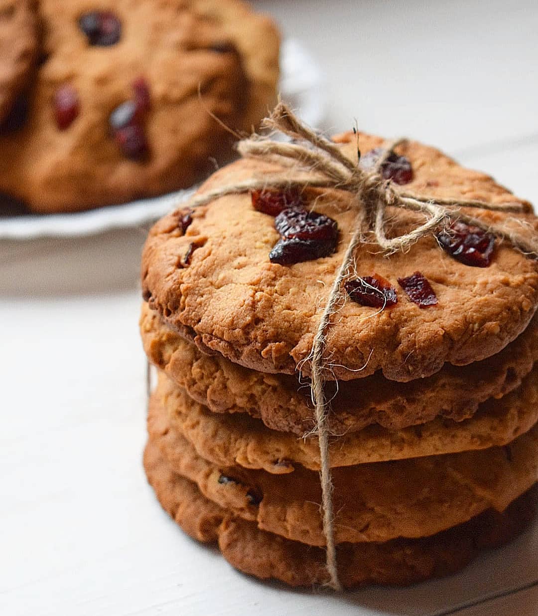 OATMEAL COOKIES WITH CRANBERRY