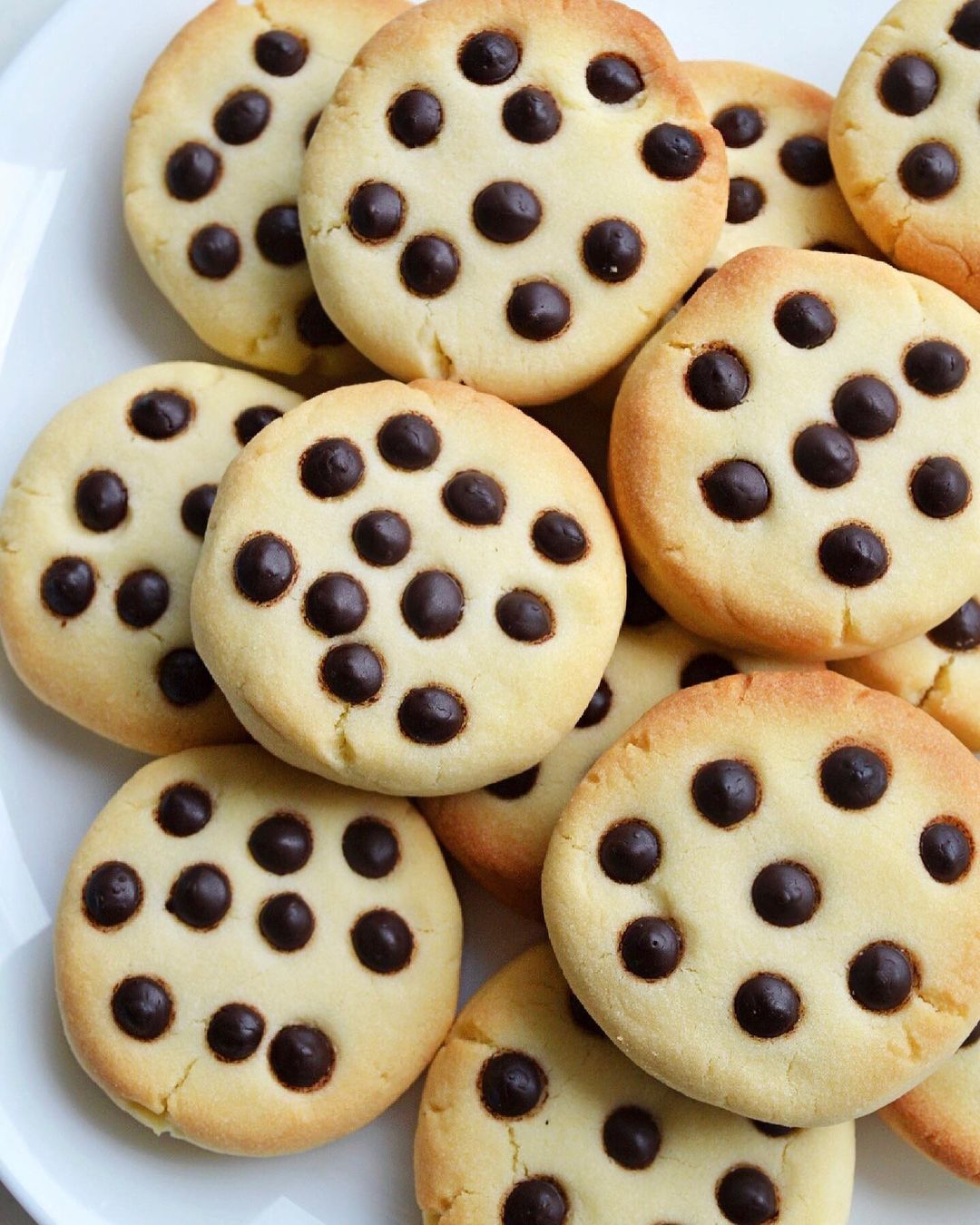 Shortbread cookies with chocolate drops