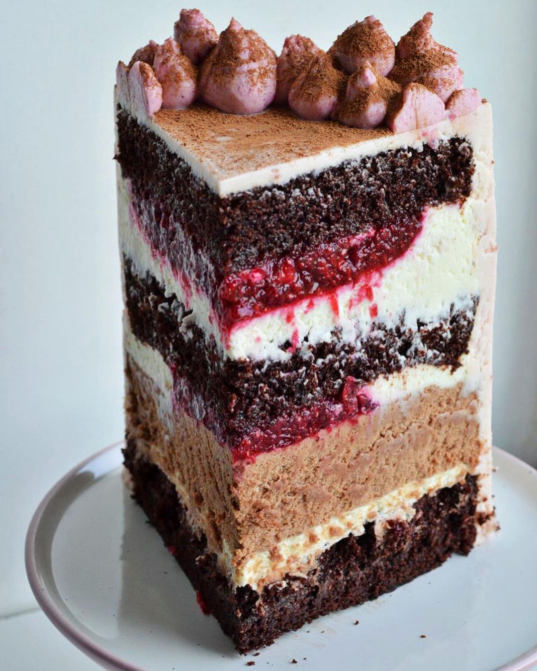 RASPBERRY & LINGONBERRY CAKE WITH CHOCOLATE MOUSSE