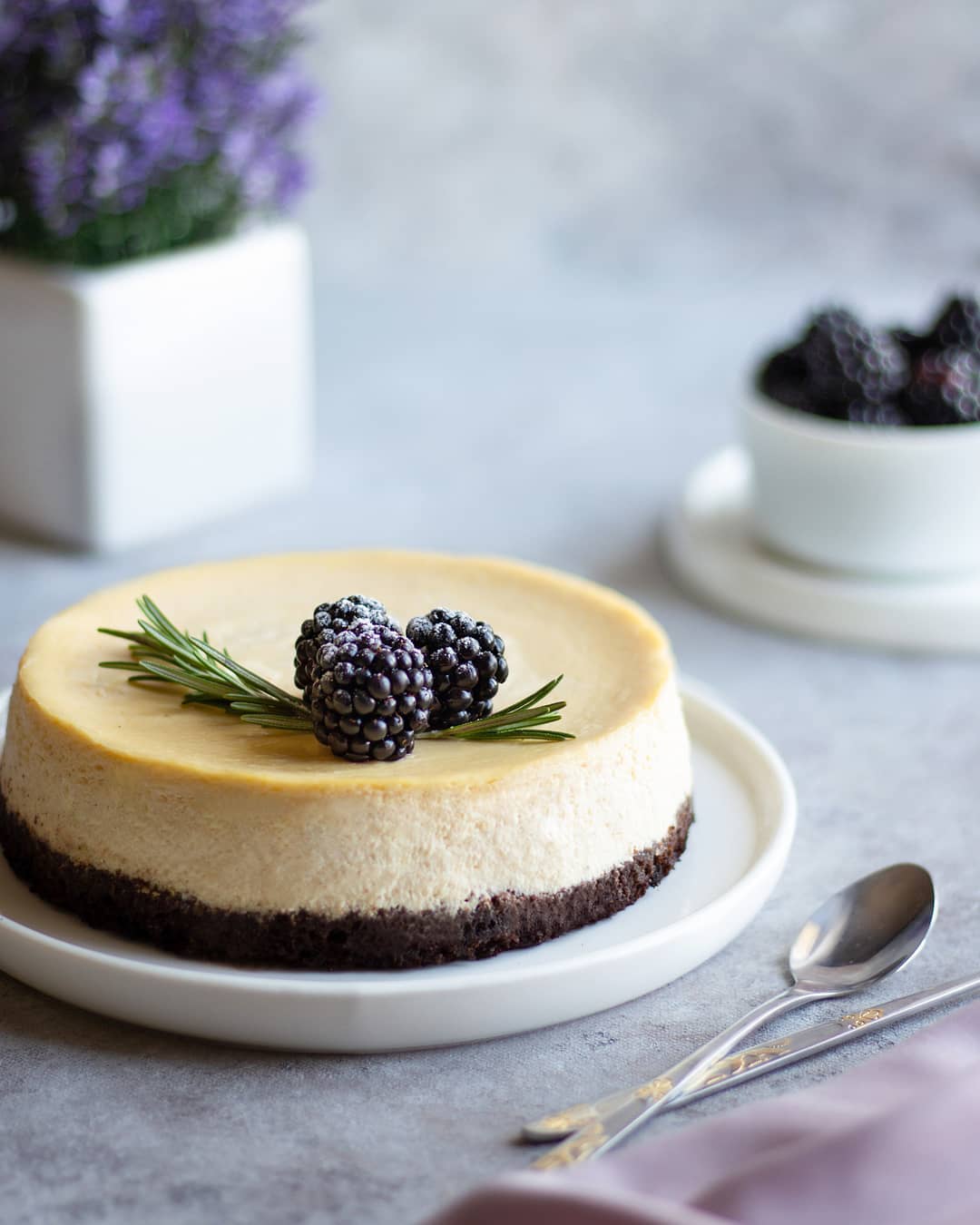Light vanilla cheesecake with ricotta & applesauce