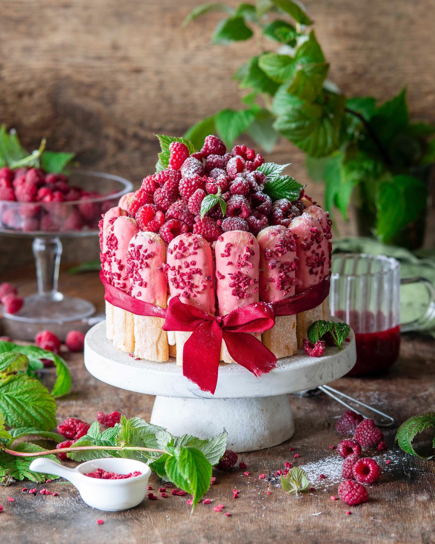 Raspberry Tiramisu cake