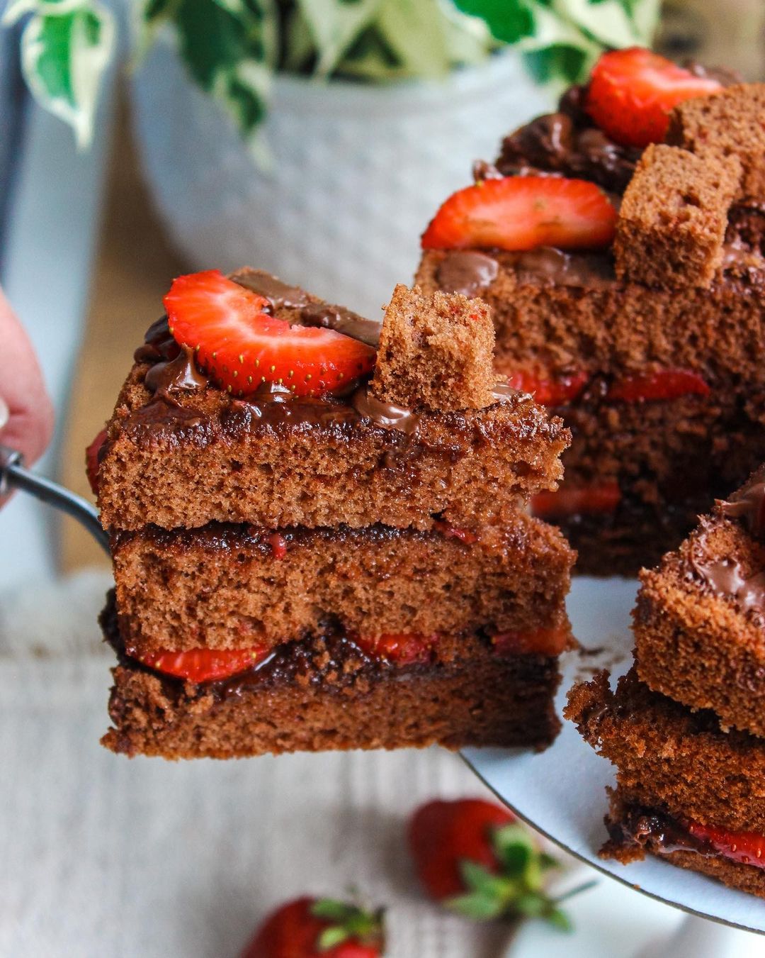 Nutella cake with strawberry