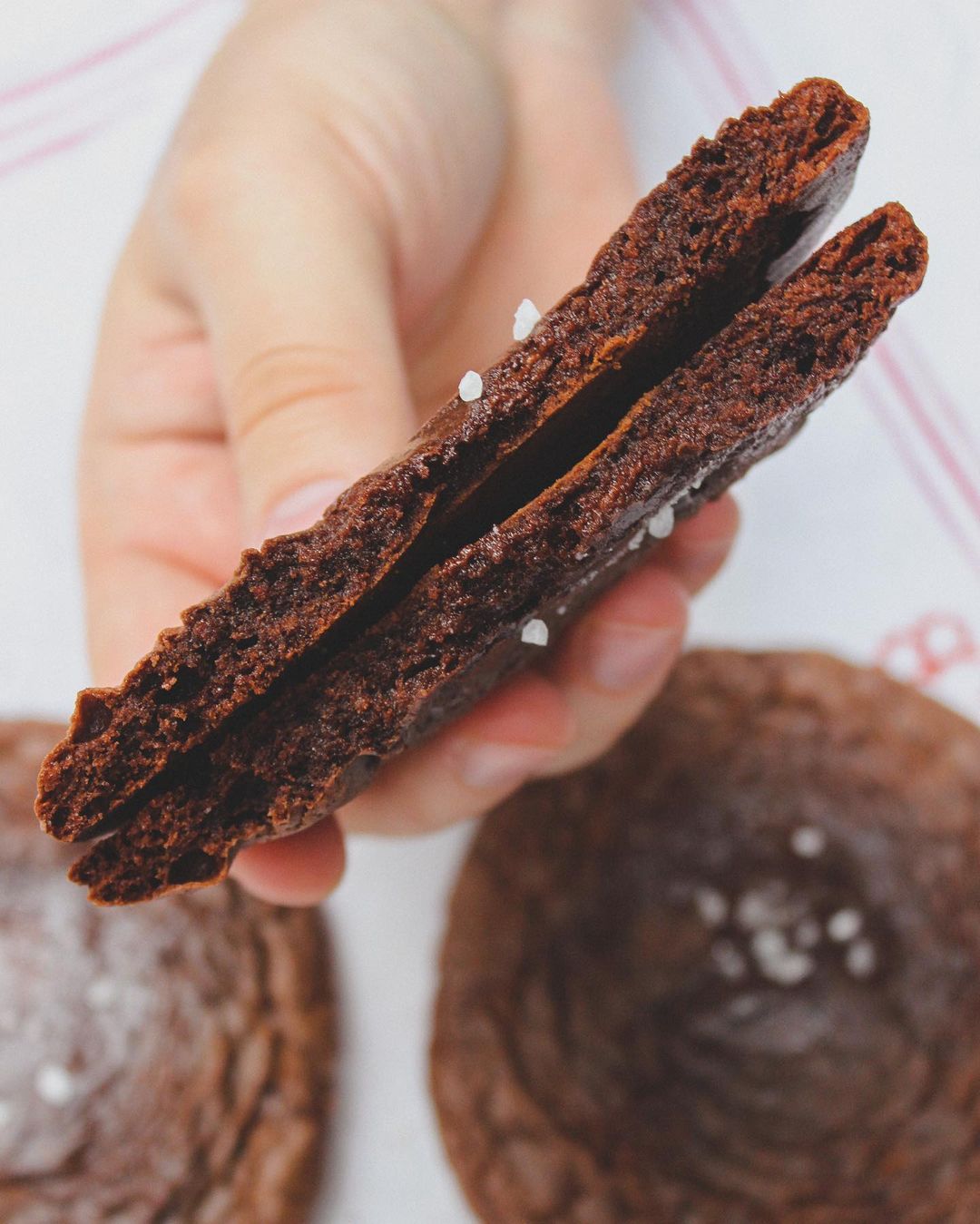 1000% chocolate cookies