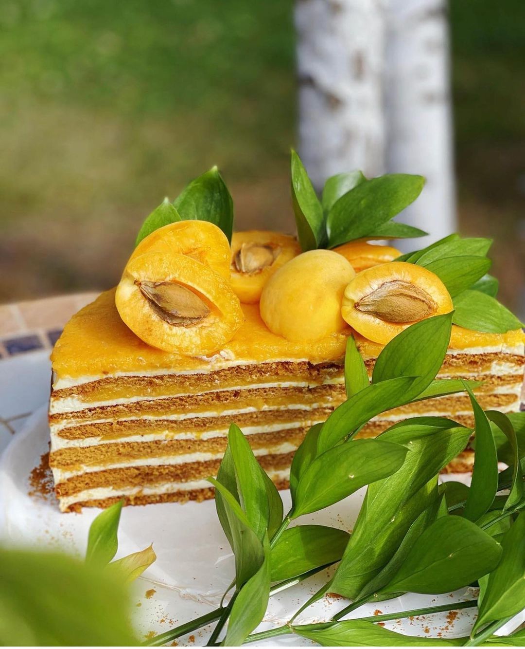 Apricot jam honey cake