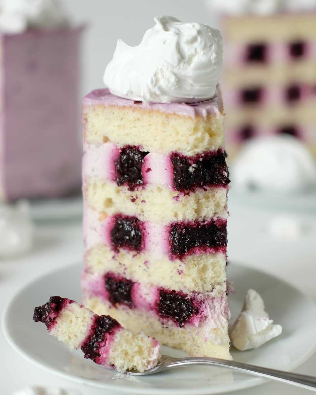 Blackcurrant mono cake