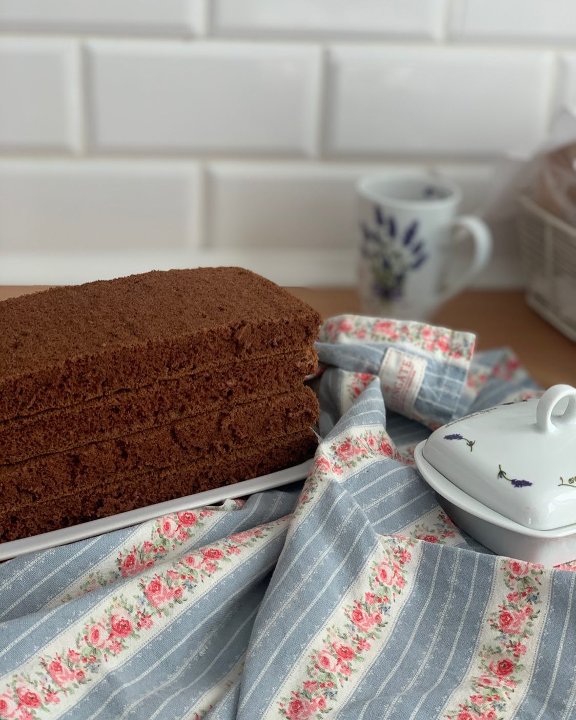 Coffee sponge biscuit