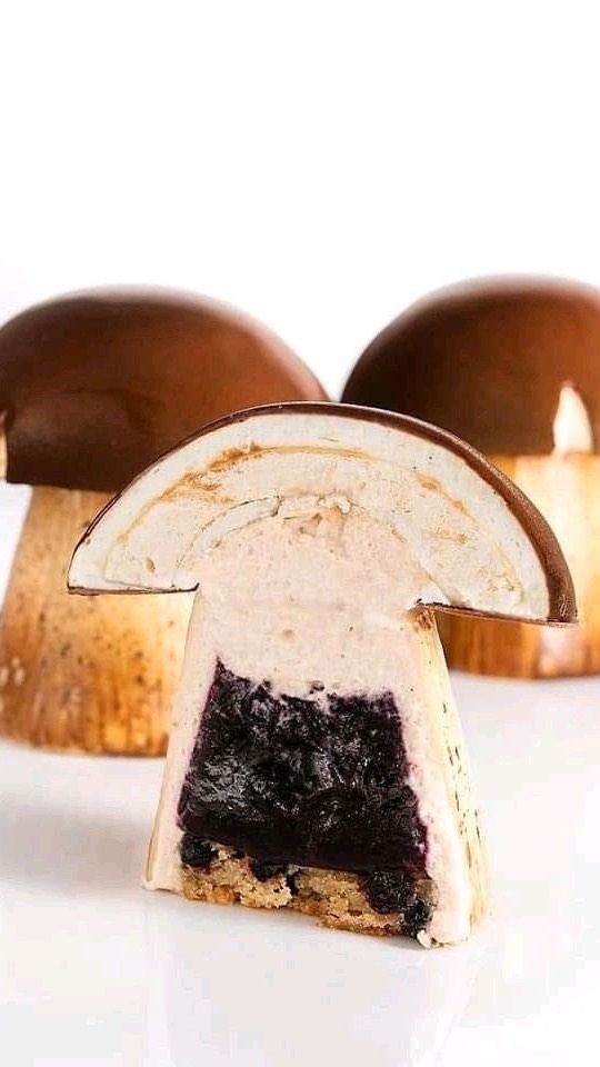 Creamy Cheesecake with Porcini Mushrooms