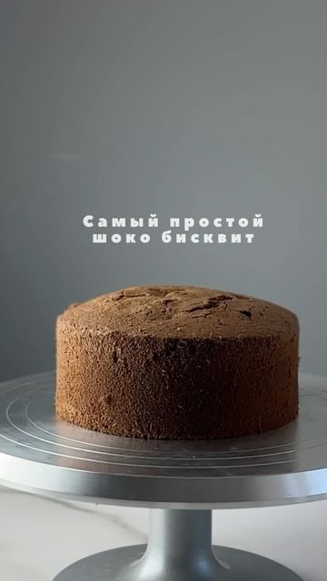 Easy Chocolate Sponge Cake Recipe