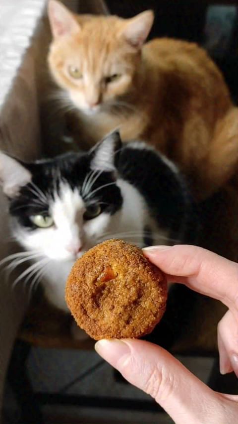 Gluten-Free Pumpkin Almond Cookies Recipe