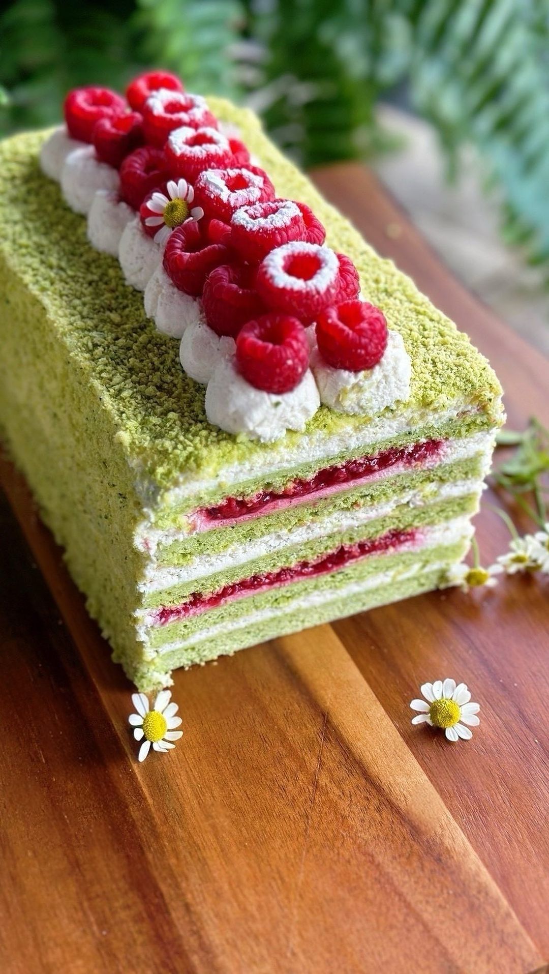 Medovik with Raspberry and Spinach Layers