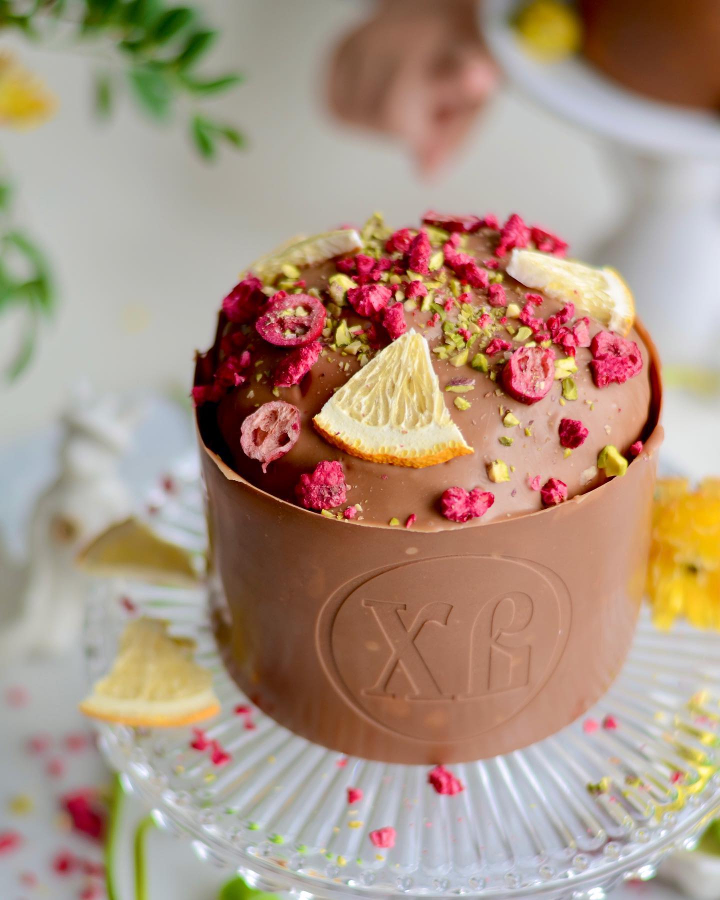 Traditional chocolate covered Easter cake